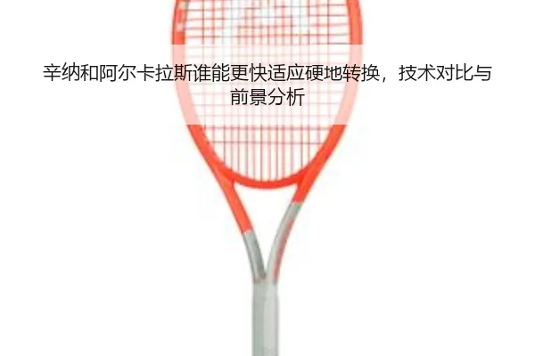 xin-na-he-a-er-ka-la-si-shui-neng-geng-kuai-shi-ying-ying-di-zhuan-huan-ji-shu-dui-bi-yu-qian-jing-fen-xi-3-157.jpg