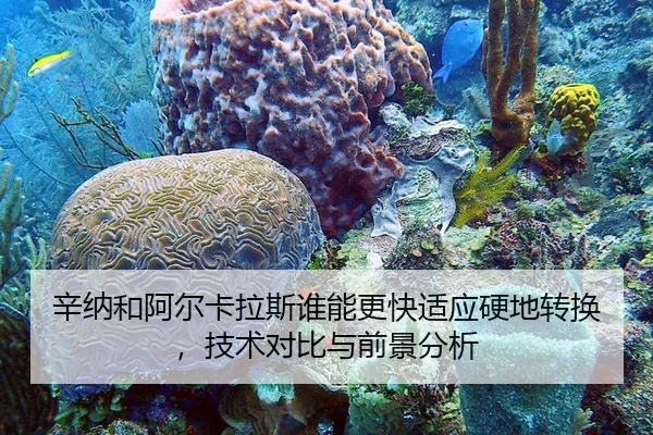 辛纳和阿尔卡拉斯谁能更快适应硬地转换，技术对比与前景分析